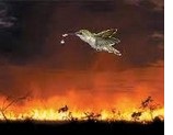 incendio